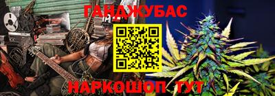 крисы Кингисепп