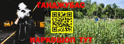 крисы Кингисепп
