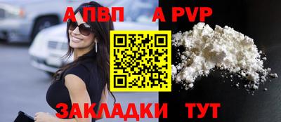 крисы Кингисепп