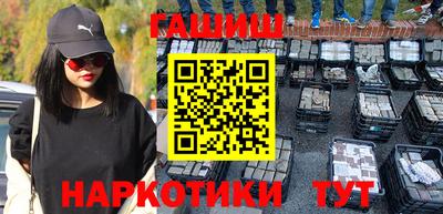 крисы Кингисепп