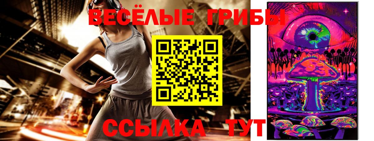 Галлюциногенные грибы Cubensis Кстово